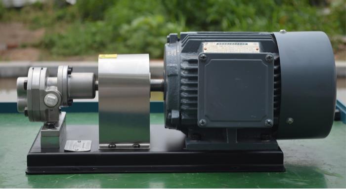 Gear Pump with Motor