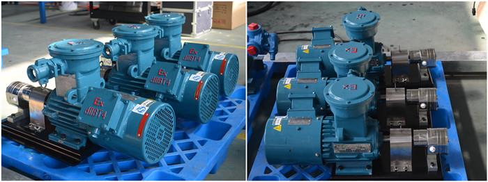Stainless Steel Pumps