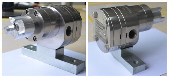 product-1-1 Stainless Steel Rotary Gear Pump