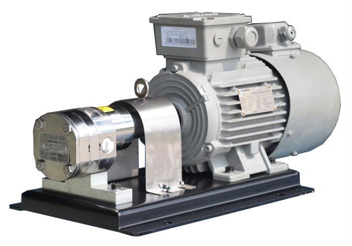 product-1-1 Stainless Steel Rotary Gear Pump