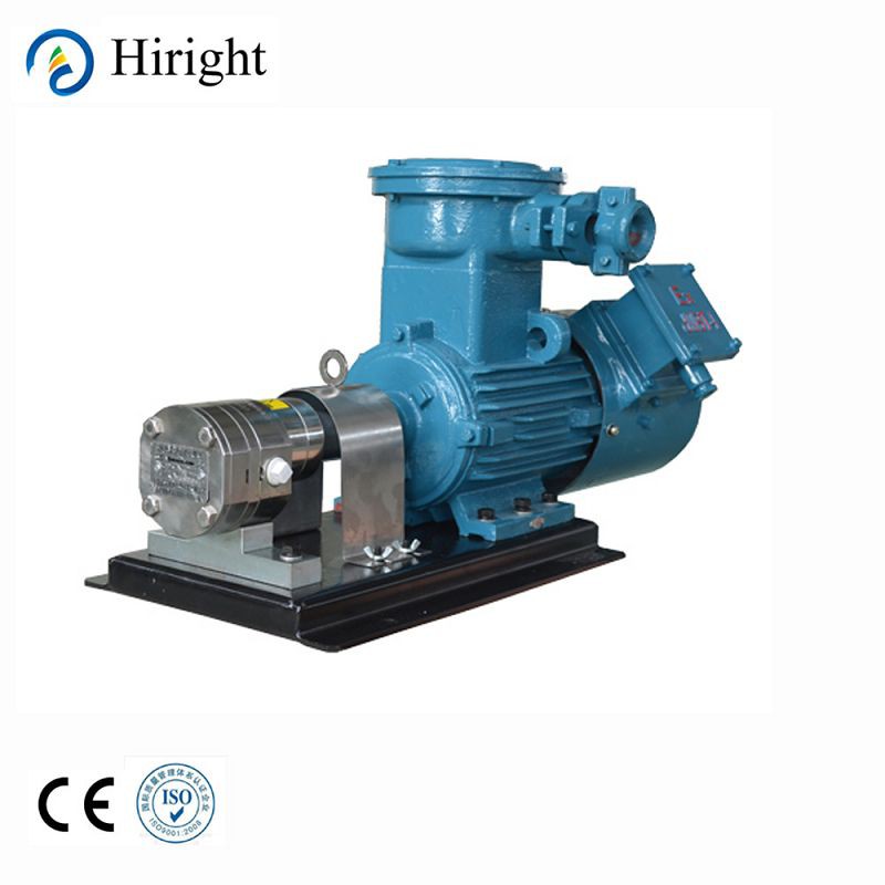 Stainless Steel Metering Pump