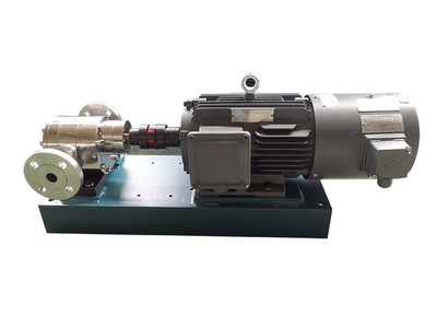 CM320 stainless steel gear pump -1 CM320 stainless steel gear pump -1