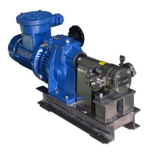 External Stainless Steel Gear Pump