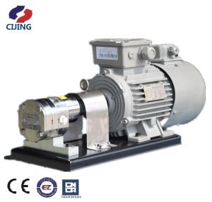 Production Metering Pump