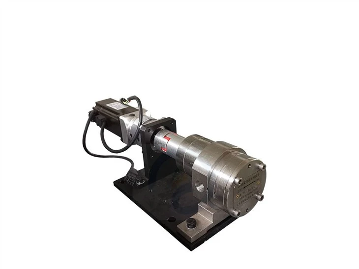 Gear Pump Supply Stainless Steel