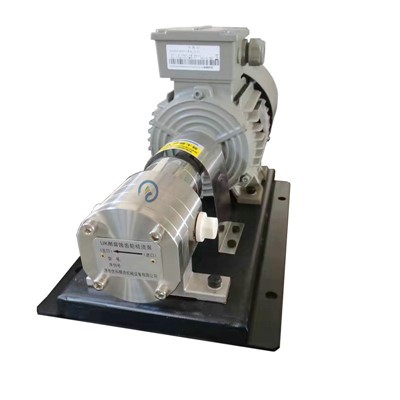 Stainless Steel Gear Metering Pump