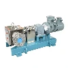 Asphalt Heat Preservation Gear Pump